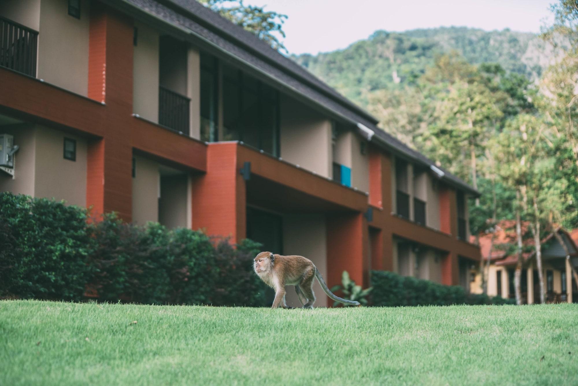 Tonsai Bay Resort Exterior foto